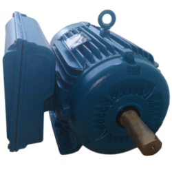 MOTOR ELÉCTRICO MONOFASICO 10 HP