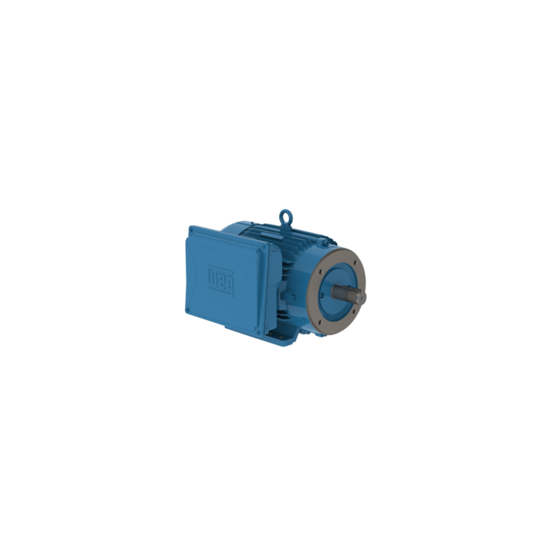 MOTOR ELÉCTRICO MONOFÁSICO 3 HP BRIDA C