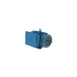 MOTOR ELÉCTRICO MONOFÁSICO 3 HP BRIDA C