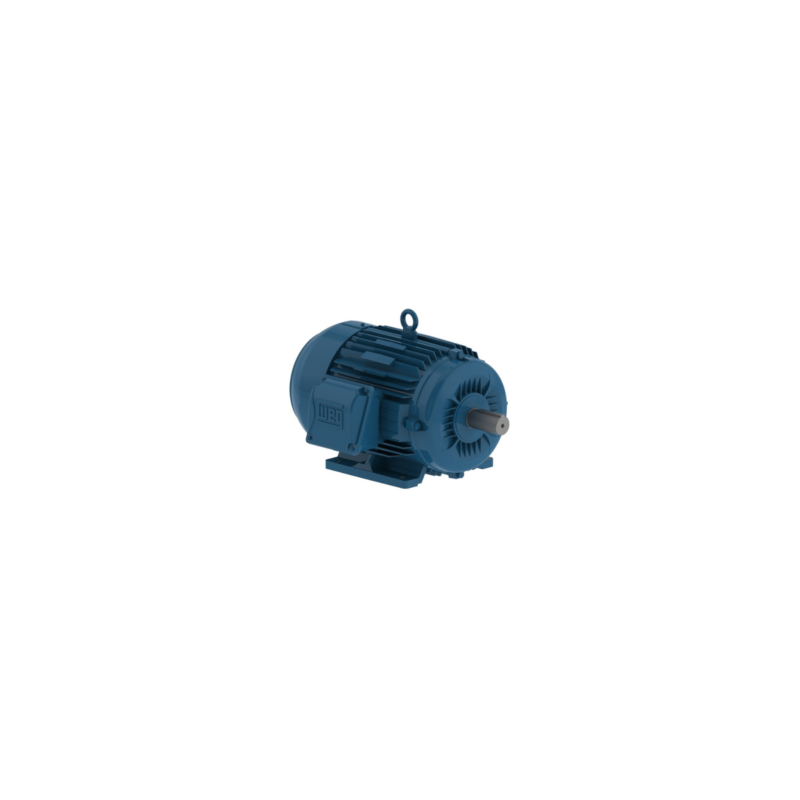 MOTOR ELÉCTRICO TRIFASICO 30 HP SIN BRIDA