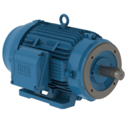 MOTOR ELÉCTRICO TRIFASICO 2 HP 145TC