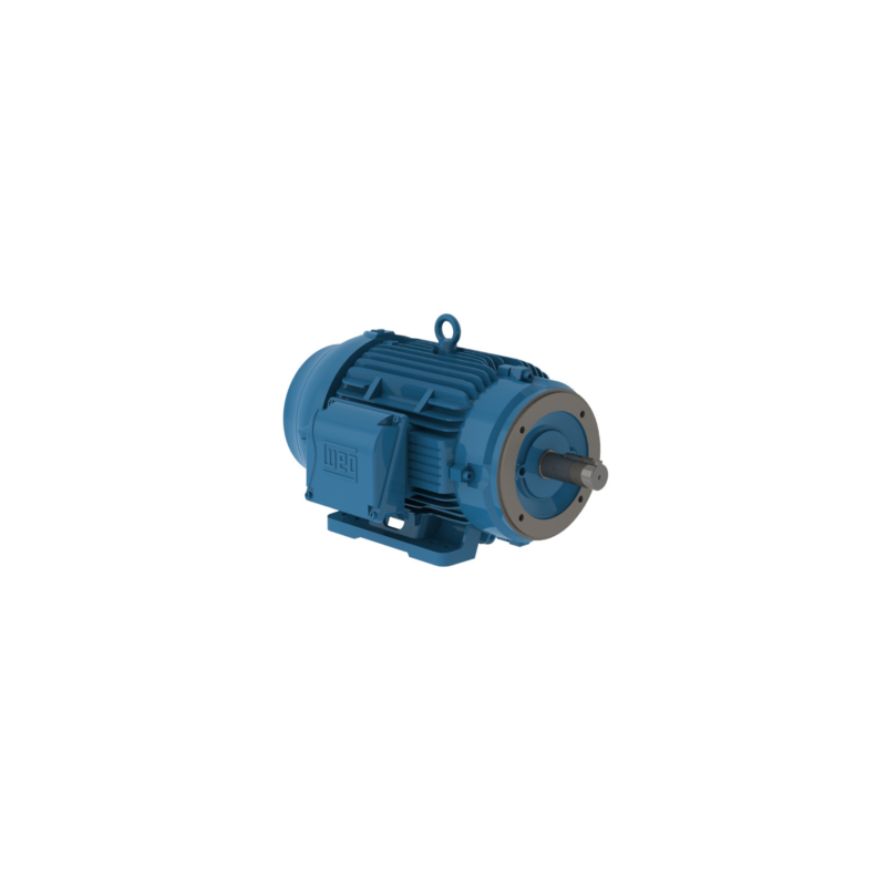 MOTOR ELECTRICO TRIFASICO 10 HP BRIDA C