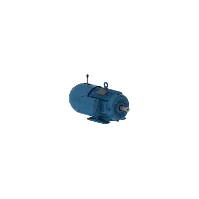 Motor eléctrico trifásico 5 HP con freno sin brida