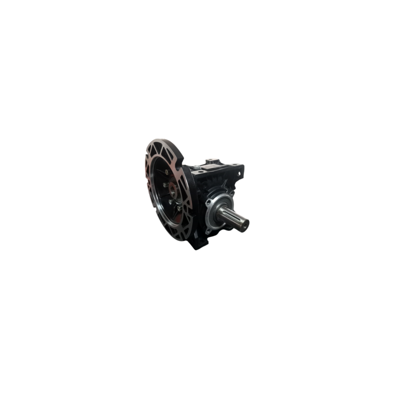 REDUCTOR NMRV T-50 REL 80 : 1